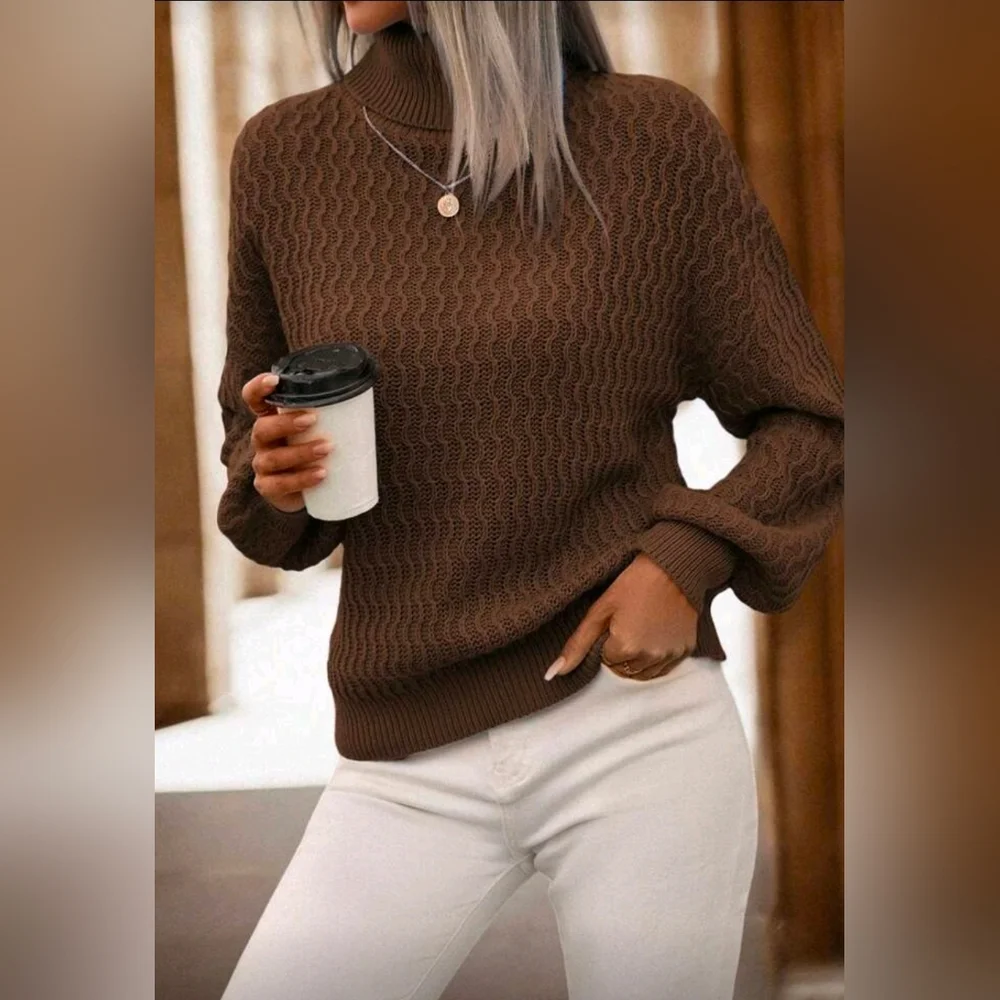 New Luxe Oversized Knit Turtleneck Sweater Top Deep Brown